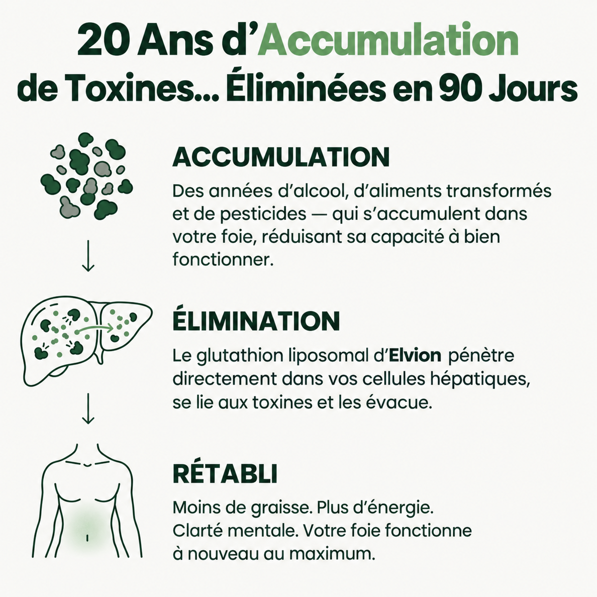 Glutathion liposomal - Détox complète du foie