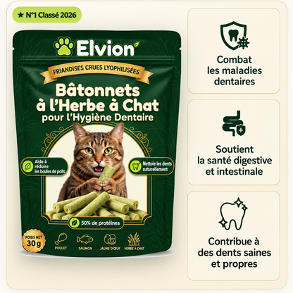 Bâtons de dentition en herbe pour chats