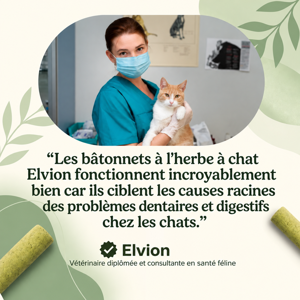 Bâtons de dentition en herbe pour chats