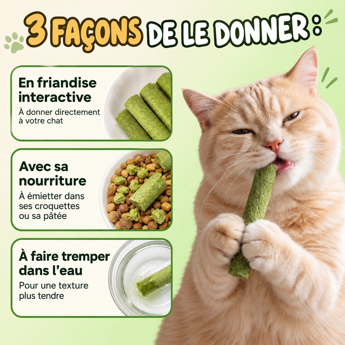 Bâtons de dentition en herbe pour chats
